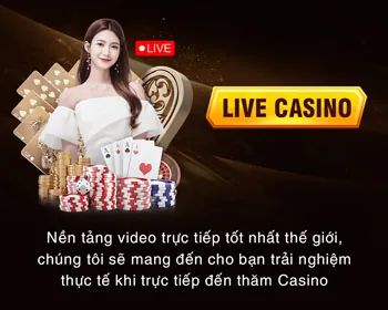 Quản lý cookie của m66