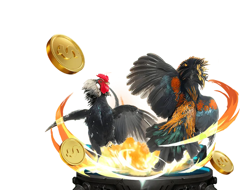 Sới gà trực tuyến shbet 9